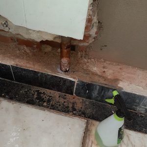 Reparação da rotura